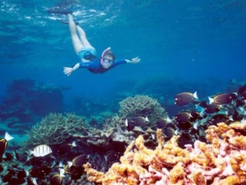 10-Hour Dahab Safari and Blue Hole Snorkelling Tour from Sharm