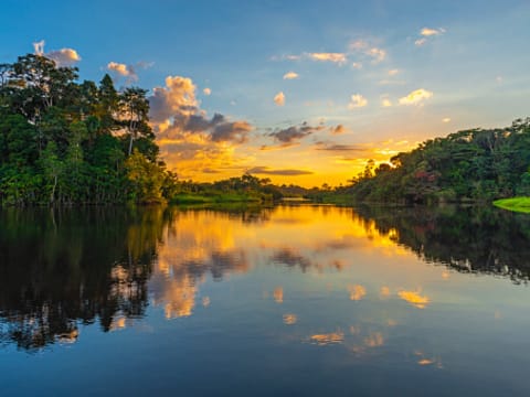 2-Day Amazon Yarapa River Wildlife Tour with Pink Dolphins