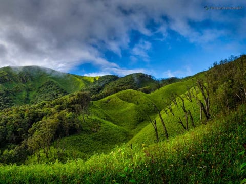 3-Day Dzukou Valley Trek from Dimapur with Angami Village Stay
