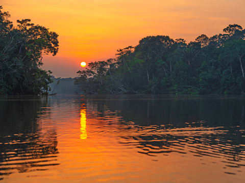 5-Day Pacaya Samiria Jungle Expedition from Iquitos with Camping