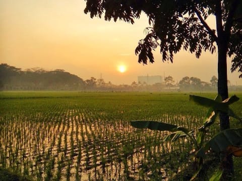 1-Day Battambang Countryside Bike Tour with Sampov Mountain