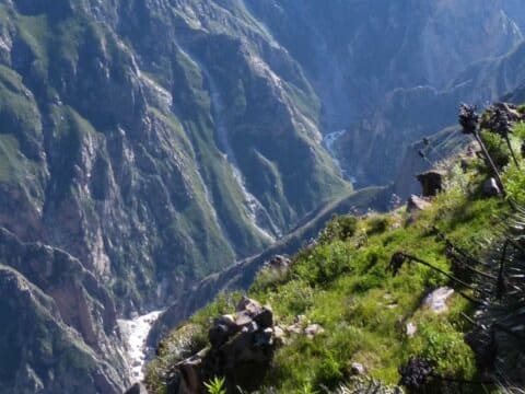 2-Day Colca Canyon Trek from Arequipa with Condor Viewpoint