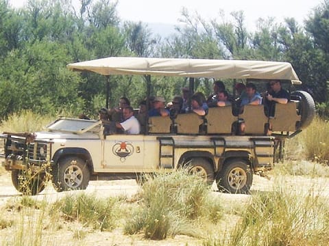 2-Day Wildlife Safari from Cape Town with Open-Air 4x4 Game Drive