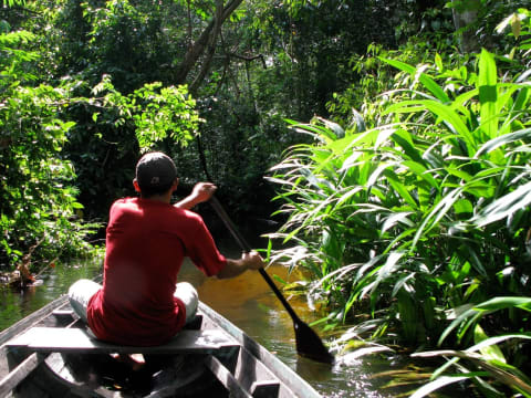 5-Hour Green Lake and Enchanted Forest Tour in Alter do Chão