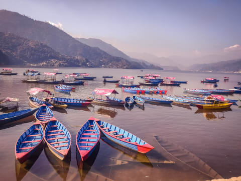 8-Day Nepal Cultural Tour with Lumbini and Janakpur