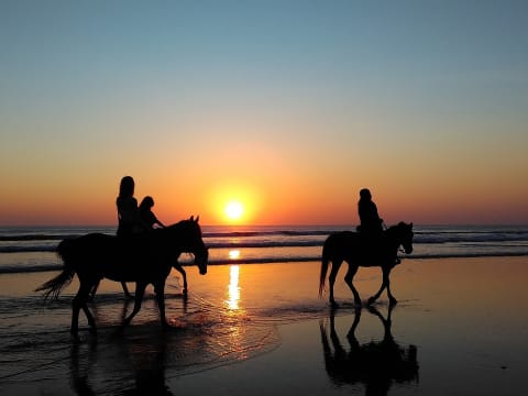 4-Hour Acapulco Horse Riding Tour with Vallarino Turtle Release
