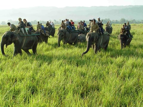 4-Day getaway to Kaziranga National Park from Guwahati