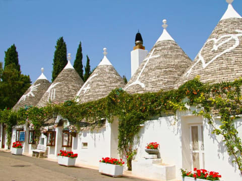 8-Hour Puglia Heritage Tour to Alberobello, Castel del Monte and Matera