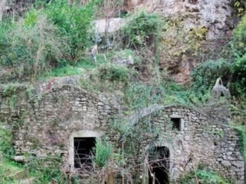 4-Hour Trek in Mills Valley and Abbey Montenero