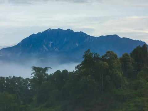Full-Day Kinabalu Park and Poring Hot Springs Tour with Canopy Walk