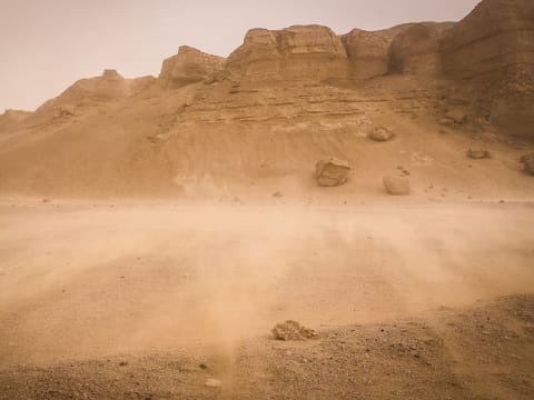 Full-Day Fayoum Desert Tour from Cairo with Wadi Hitan and Sandboarding