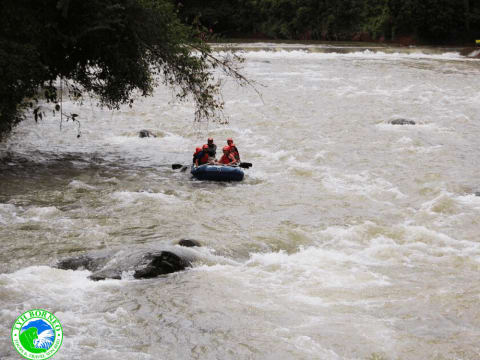 1-Day Kiulu River White Water Rafting Tour from Kota Kinabalu