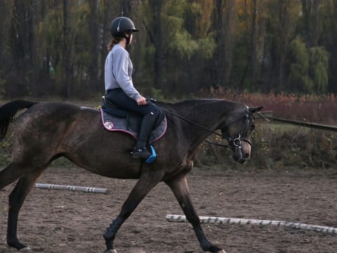 1-Hour Horse Riding Lesson in Sorrento with Horse Care Basics