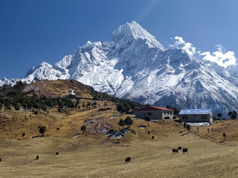 8-Day Langtang Valley Trek in Nepal with Kyanjin Gompa and Tserko Ri