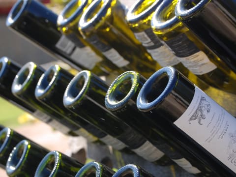1-Day Puglia and Lecce Wine Tour from Bari with Local Tastings