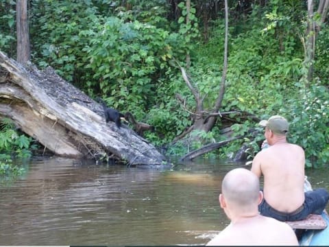 4-Day Amazon Camping Tour from Iquitos through the Yarapa Basin