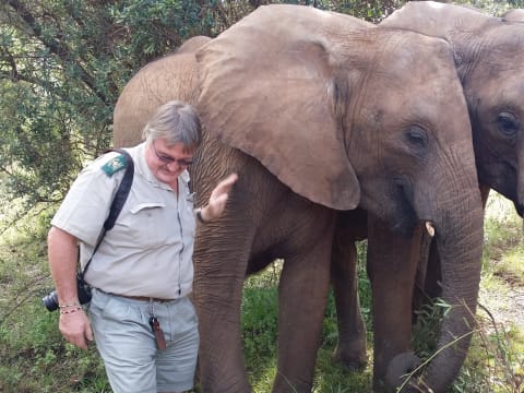 1-Day Glen Afric Reserve Safari from Johannesburg with Elephant Interaction