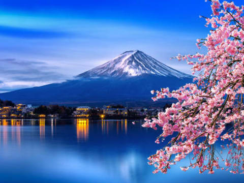 1-Day Mount Fuji Tour from Tokyo with Oshino Hakkai and Kawaguchiko