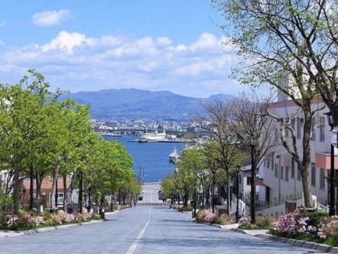 6-Hour Hakodate City Tour with Mt. Hakodate and Goryokaku Park