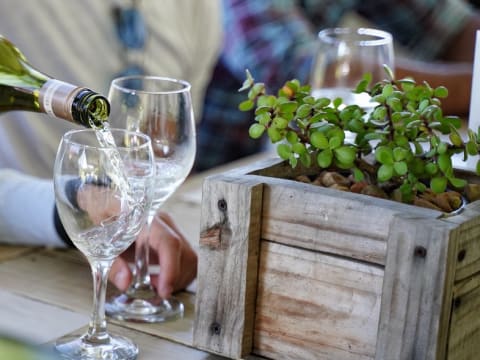 6-Hour Cape Winelands Private Tour with Family-Friendly Tastings