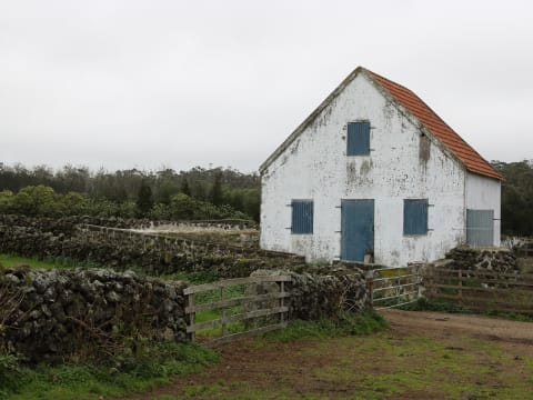 8-Hour Terceira Island Tour with Algar do Carvão and Cheese Tasting