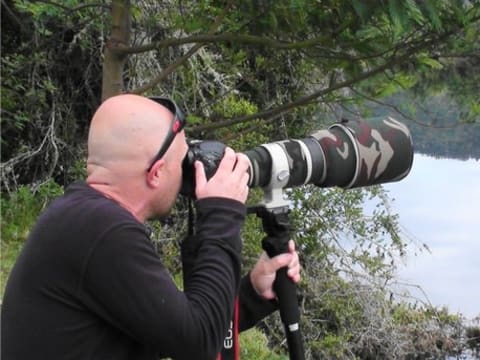 4-Hour Plettenberg Bay Game Reserve Tour with Birdwatching