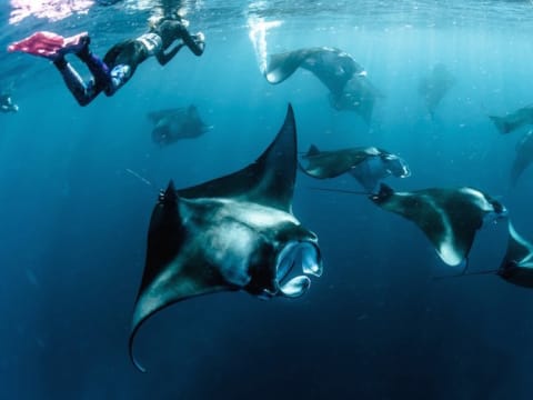 8-Day Maldives Adventure Tour with Rasdhoo Water Sports and Male