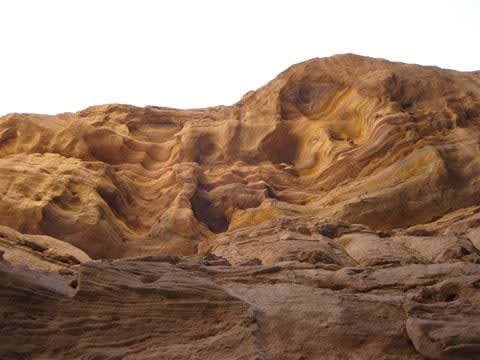 1-Day Nuweiba and Coloured Canyon Tour from Taba with Bedouin Visit