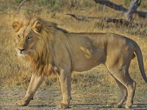 1-Day Cebu Safari Adventure in Carmen with Wildlife and Scenic Trails