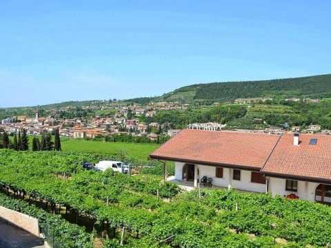 7-Hour Wine Tour in Verona with Amarone, Recioto and Valpolicella