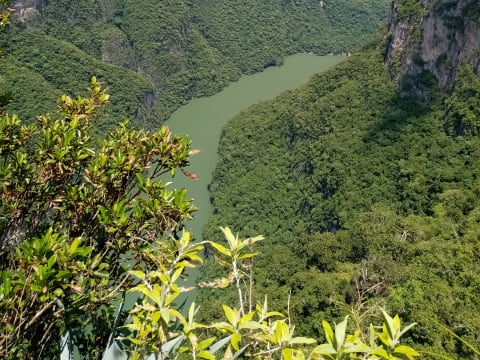 9-Hour Sumidero Canyon Nature Tour from San Cristóbal de las Casas