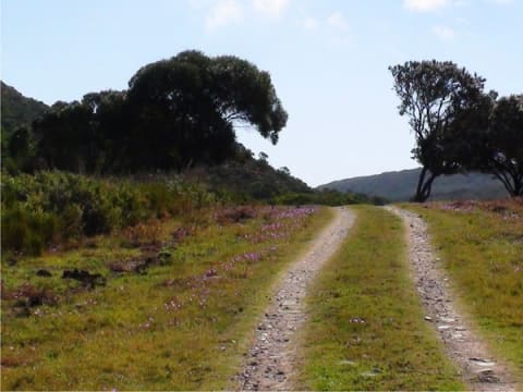 4-Hour Goukamma Nature Reserve Bird-Watching Tour from Buffels Bay