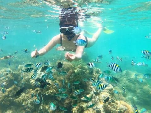 6-Hour Bintan Island Snorkeling Trip with Traditional Kelong Ride