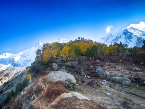 5-Day Nanga Parbat Trek from Islamabad with Fairy Meadows