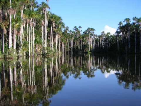 3-Day Tambopata National Reserve Tour with Kayaking and Night Wildlife