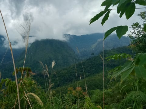 5-Day Meratus Mountains Trek and Banjarmasin Tour with Floating Market
