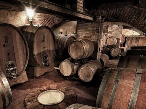 9-Hour Montalcino Wine Tour from Florence with Brunello Experience