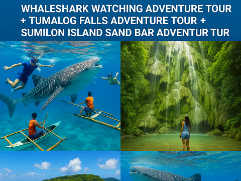 12-Hour Cebu Whale Shark and Moalboal Snorkelling Tour with Tumalog Falls