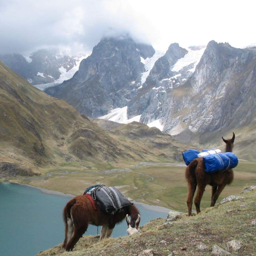 7-Day Huayhuash Cultural Trek from Huaraz with Huánuco Viejo