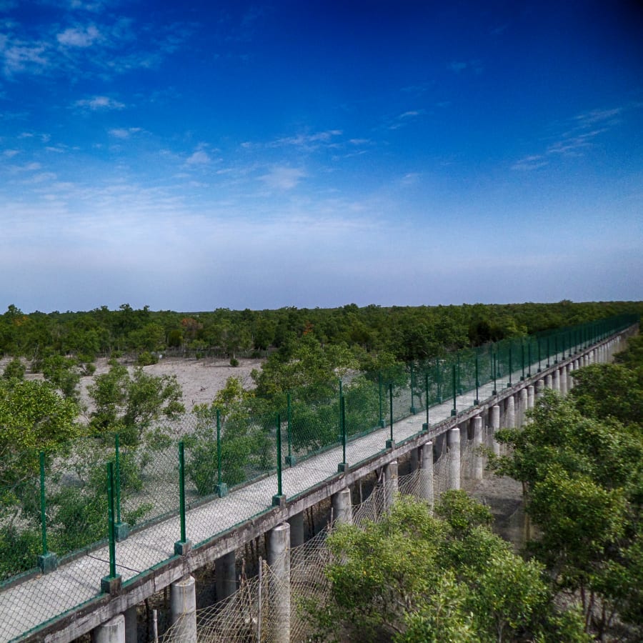 3-Day Sundarbans Wildlife Safari from Kolkata with Village Stay