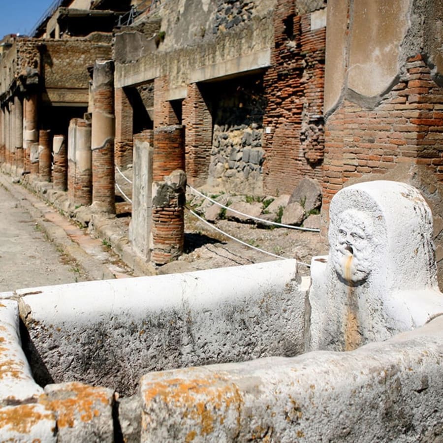 2-Hour Private Herculaneum Archaeological Tour with Expert Historians