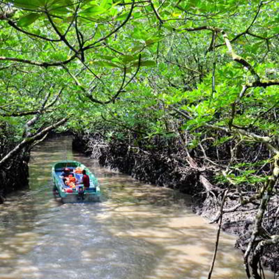 10-Hour Baratang Island Tour from Port Blair with Limestone Caves