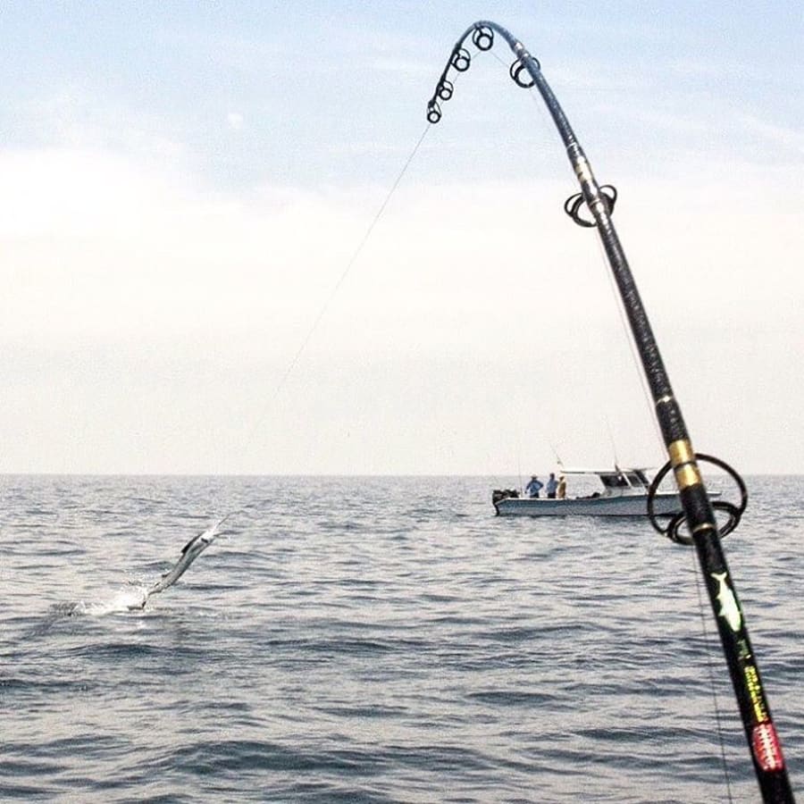 3-Day Sports Fishing Tour in Kuala Rompin with Sailfish Hunting