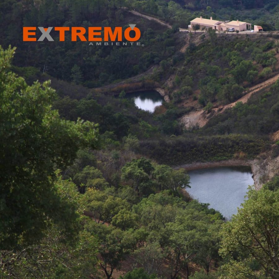 8-Hour Algarve Jeep Safari from Albufeira with Medronho Tasting