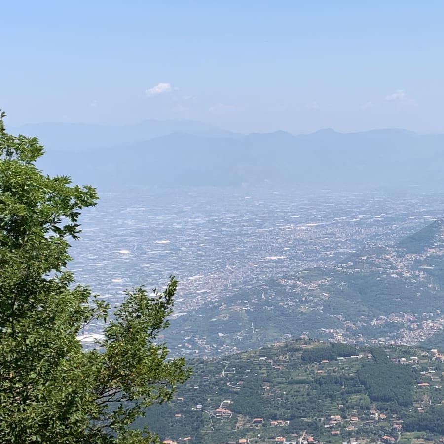 Tour privato di 1 giorno a Positano, Sorrento e Pompei in minivan