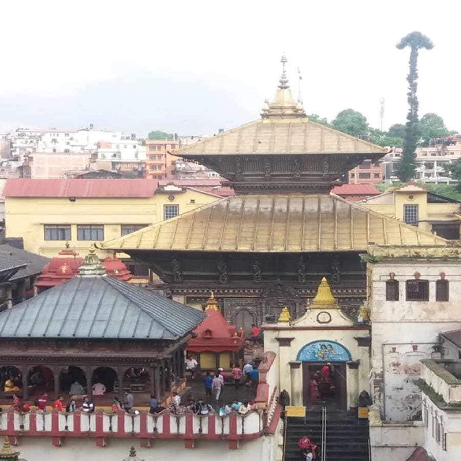 10-Day Nepal Cultural and Wildlife Tour with Chitwan and Pokhara