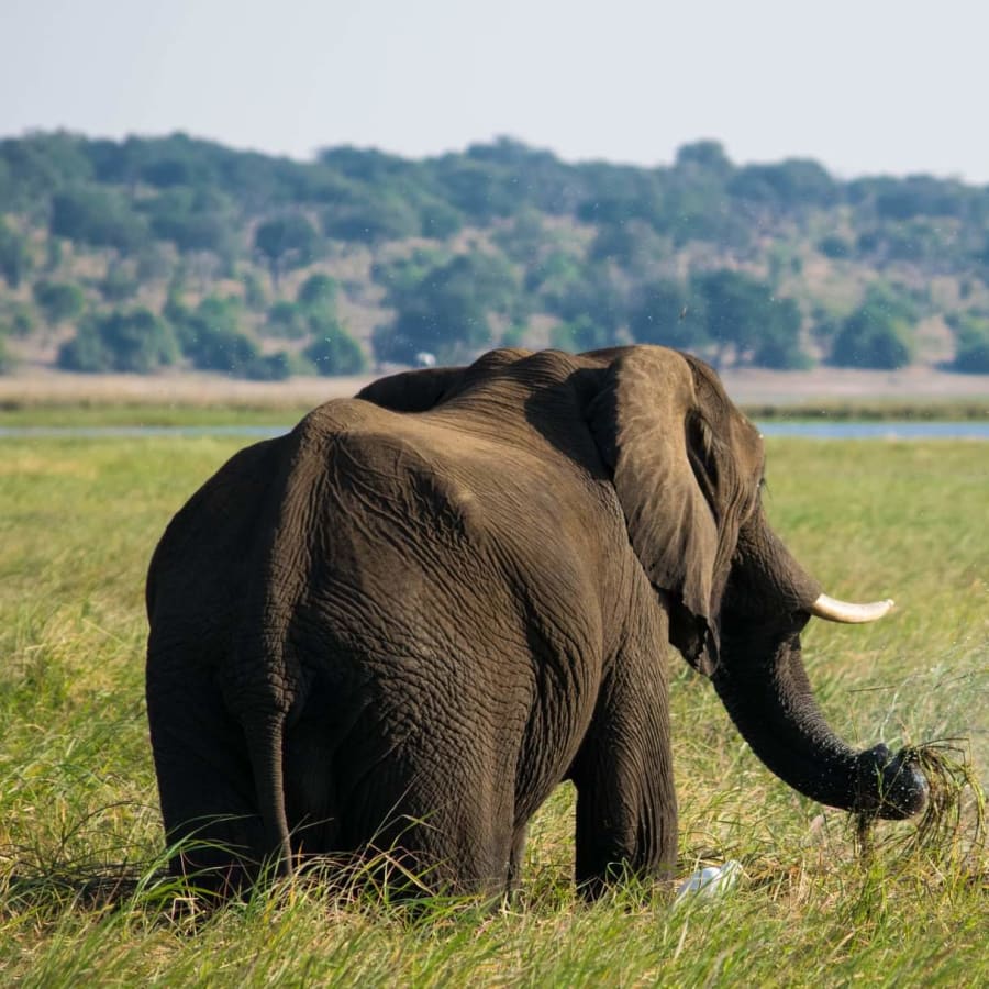 12-Day South Africa, Victoria Falls and Chobe Tour with Cape Winelands