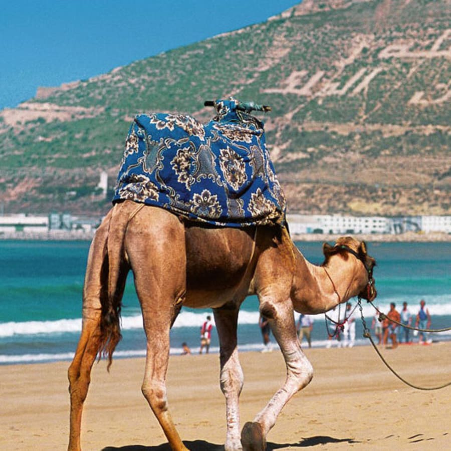 3-Day Tafraout and Magical Valley Tour from Agadir