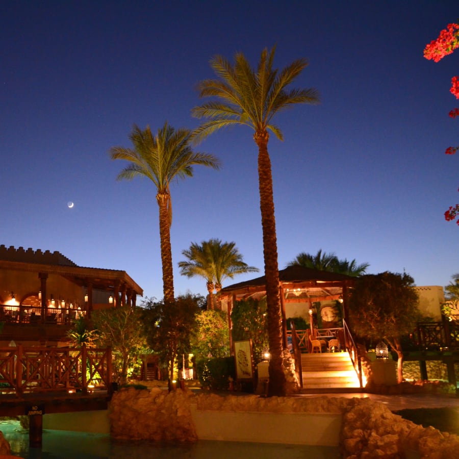 8-Day Sharm El-Sheikh Sightseeing and Snorkelling Tour