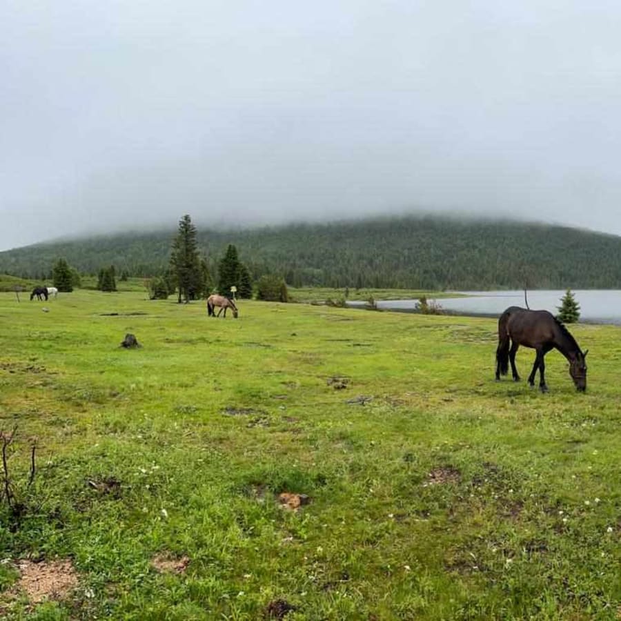 7-Day Horse Riding Adventure in Terelj and Mongolia's Wilderness